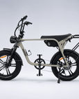 Fatfish Biggie EN15194 Certified Fat Tyre E-Bike