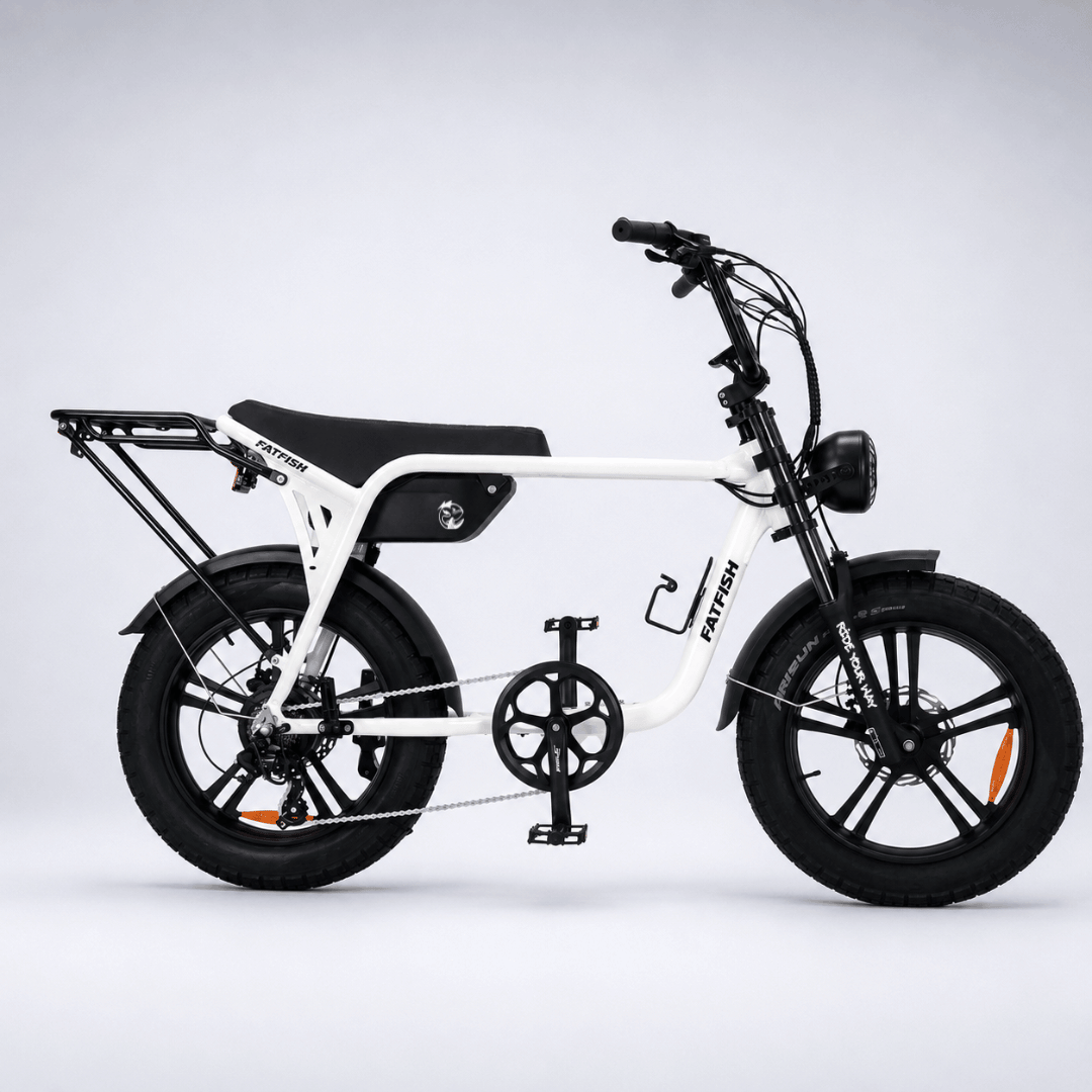 Fatfish Biggie EN15194 Certified Fat Tyre E-Bike