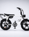 Fatfish Biggie EN15194 Certified Fat Tyre E-Bike