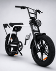 Fatfish Biggie EN15194 Certified Fat Tyre E-Bike