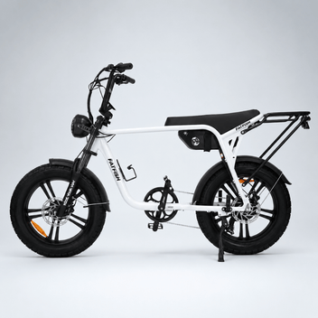 Fatfish Biggie Fat Tyre E-Bike – Fatfish E-Bikes