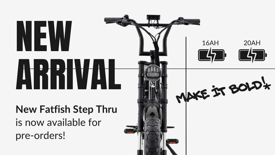 Fatfish - Fat Tyre E-bikes – Fatfish E-Bikes