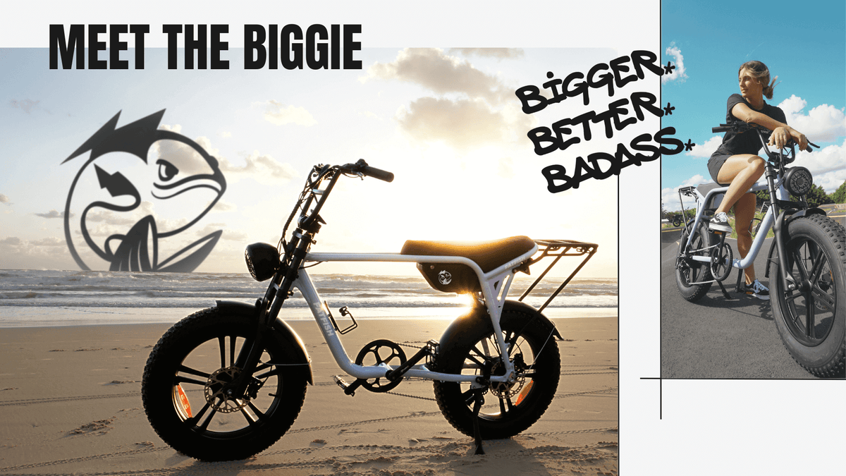 Fatfish - Fat Tyre E-bikes – Fatfish E-Bikes