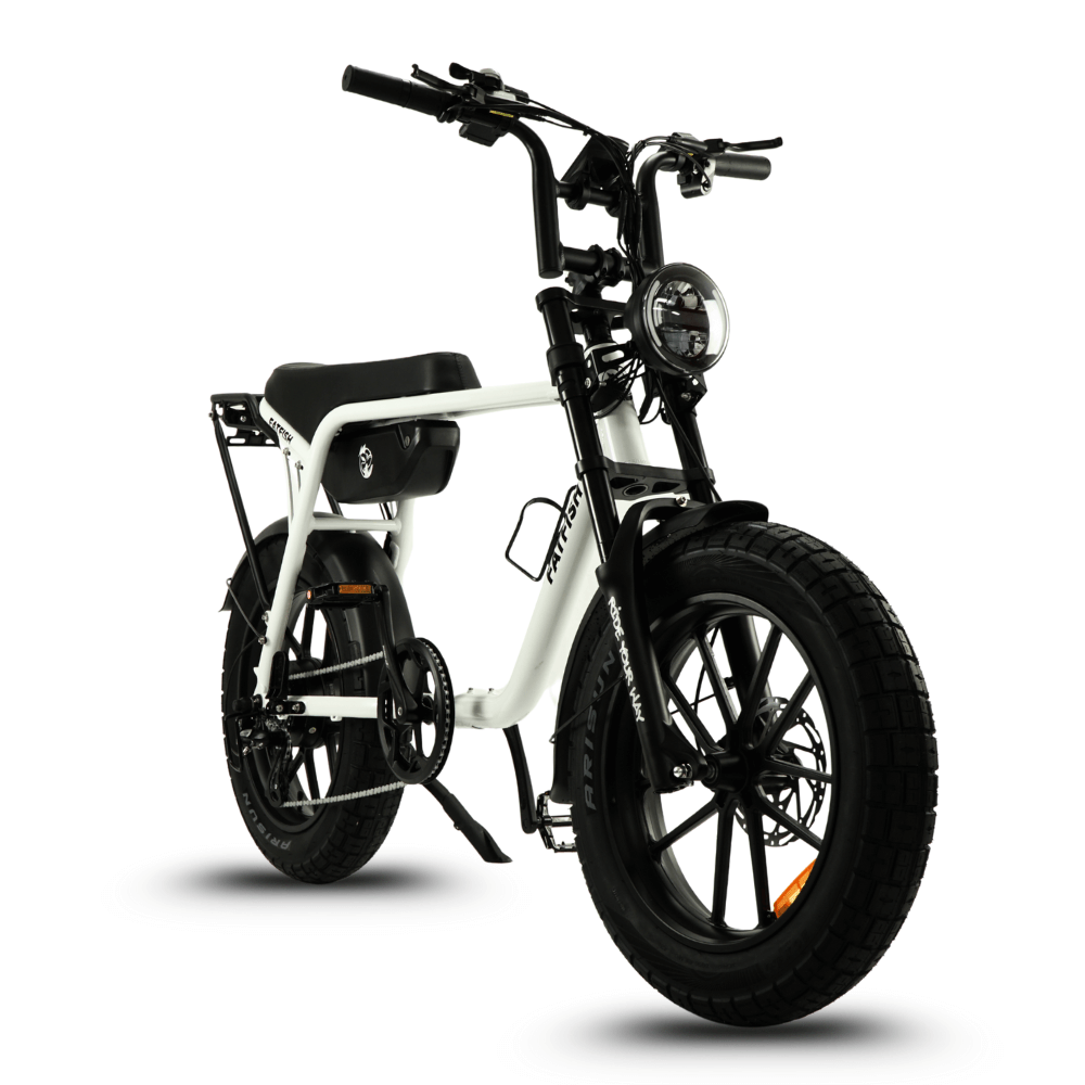 Fatfish OG Fat Tyre E-Bike – Fatfish E-Bikes