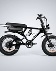 Fatfish Grime EN15194 Certified Fat Tyre E-Bike
