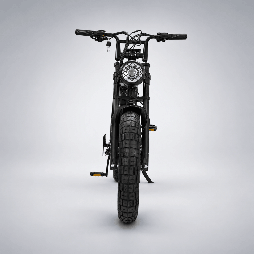 Fatfish OG 2.0 Fat Tyre E-Bike