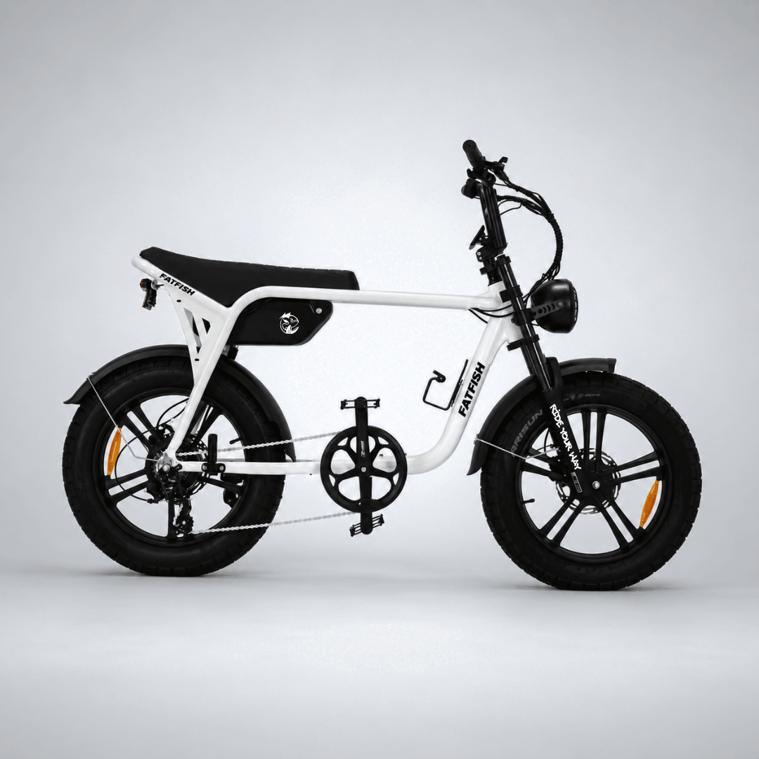 Fatfish OG 2.0 Fat Tyre E-Bike