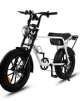 Fatfish OG 17AH Fat Tyre E-Bike