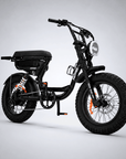 Fatfish Vice Fat Tyre E-Bike