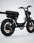 Fatfish Vice Fat Tyre E-Bike