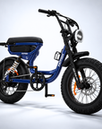 Fatfish Vice EN15194 Certified Limited Edition  Fat Tyre E-Bike