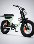 Fatfish Vice Fat Tyre E-Bike
