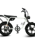 Fatfish Biggie EN15194 Certified Fat Tyre E-Bike