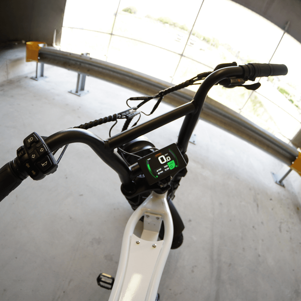 Limited Edition Fatfish Grime Fat Tyre E-Bike