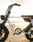 Fatfish Biggie Bottle Cage