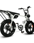 Fatfish Biggie Fat Tyre E-Bike
