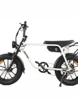 Fatfish OG 17AH Fat Tyre E-Bike