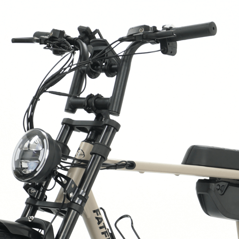 Fatfish OG 17AH Fat Tyre E-Bike – Fatfish E-Bikes