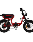 Limited Edition Fatfish Vice Fat Tyre E-Bike
