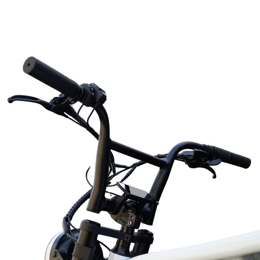 Fatfish Grime Fat Tyre E-Bike